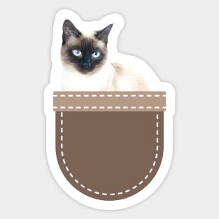 Cat in Pocket (Siamese Cat 2) Sticker